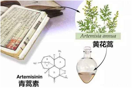 江南娱乐游戏,（中国）官方网站：向中医药看齐，与世界共享中医药文化(图1)